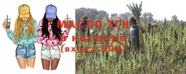 СК Михайлов